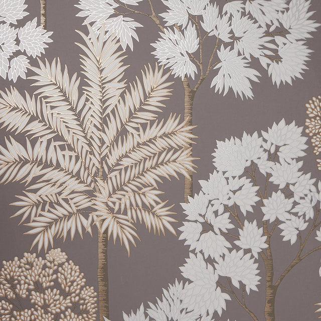Acacia Tree Wallpaper in Charcoal and Copper