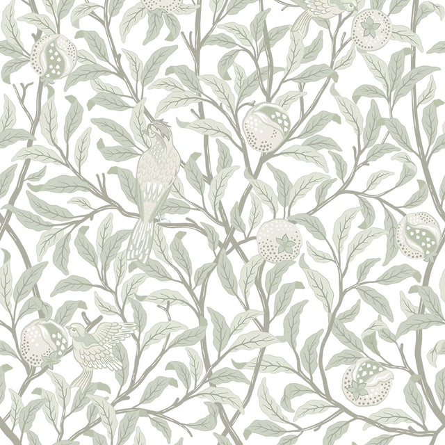 Beauty of Nature Wallpaper in Sage Green