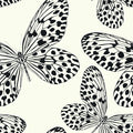 Butterfly Garden Wallpaper in Cream and Black