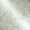 Eternal Leaf Wallpaper in Green and Cream