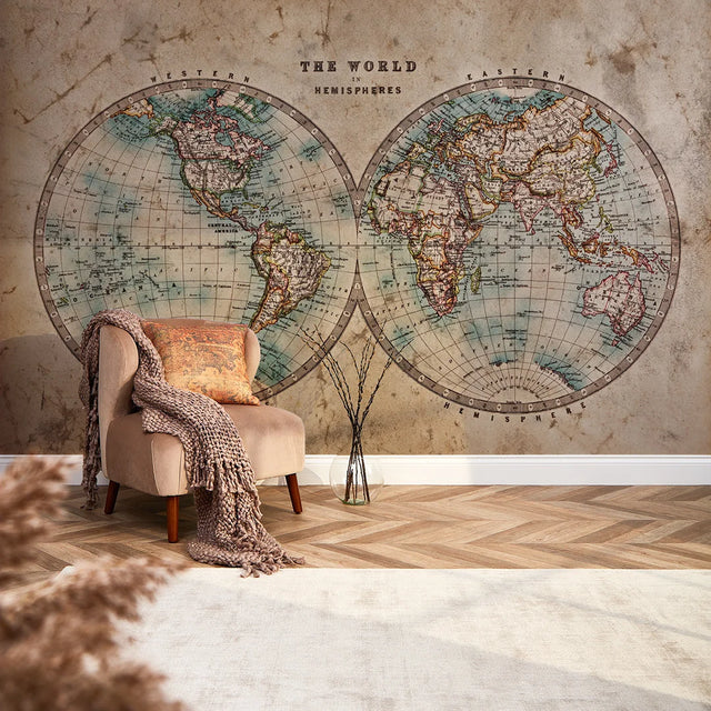 Hemisphere Map Full Wall Mural in Earthy Tones