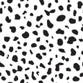 Lots of Spots Wallpaper Black and White