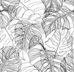 Monstera Leaf Wallpaper in Monochrome