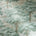 New Forest Toile Wallpaper in Green