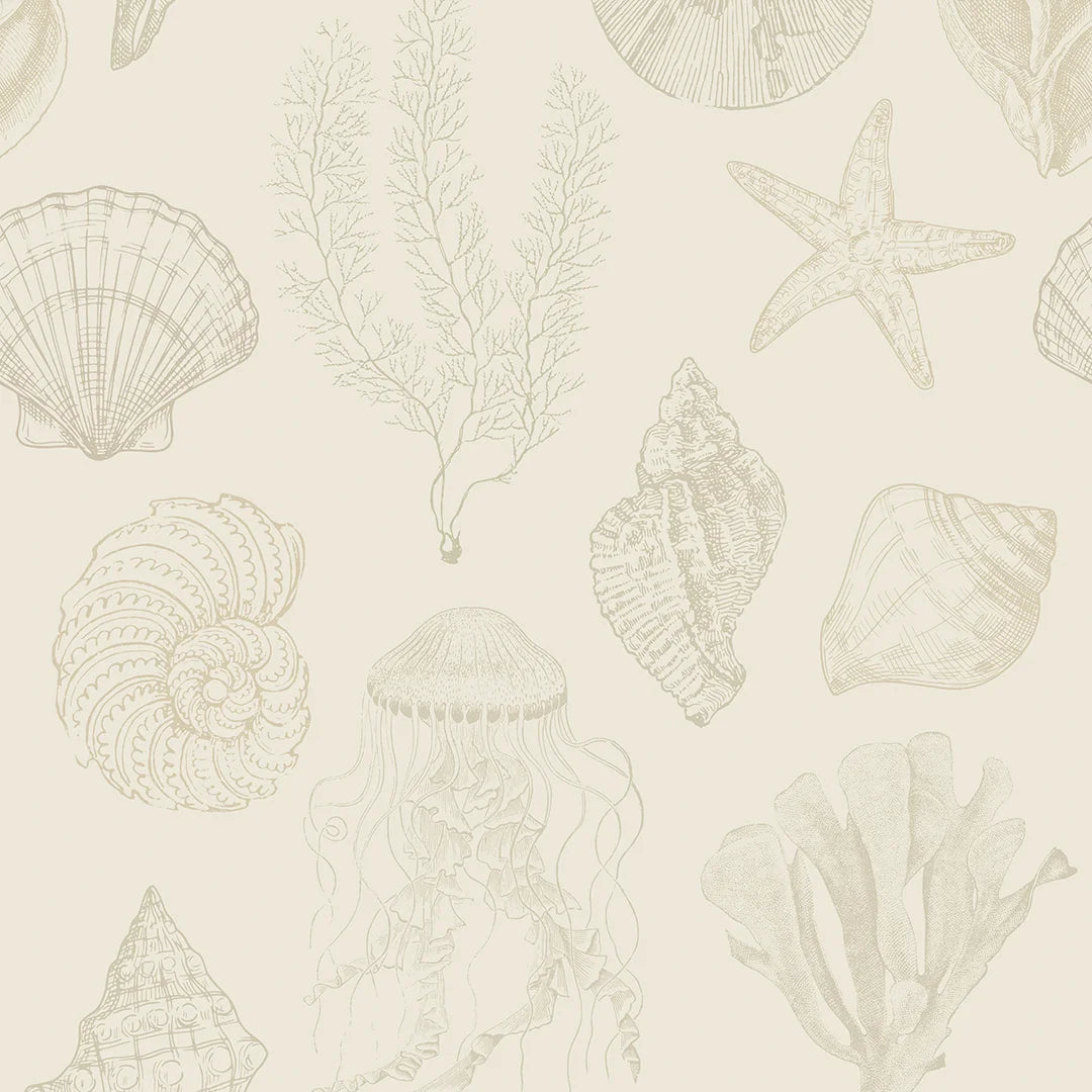 Sample of Summer Seashells Wallpaper in Neutrals