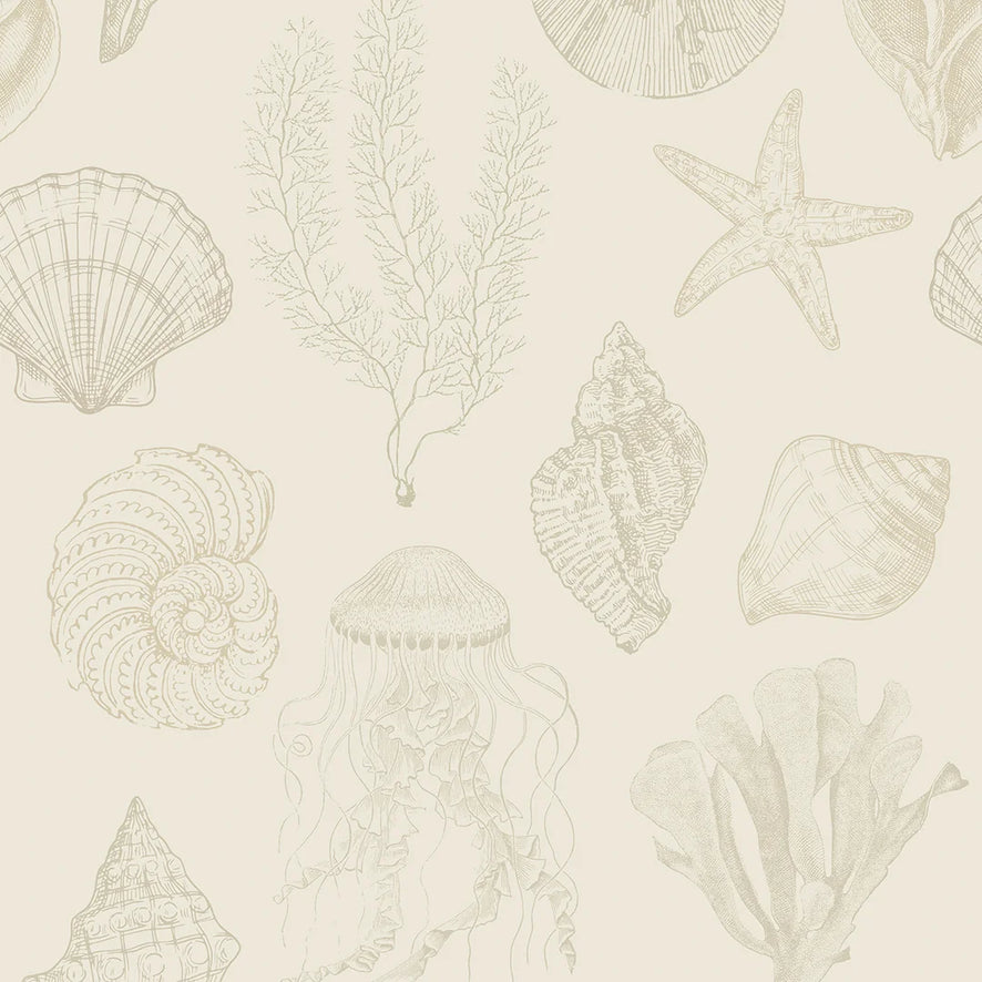 Summer Seashells Wallpaper in Neutrals