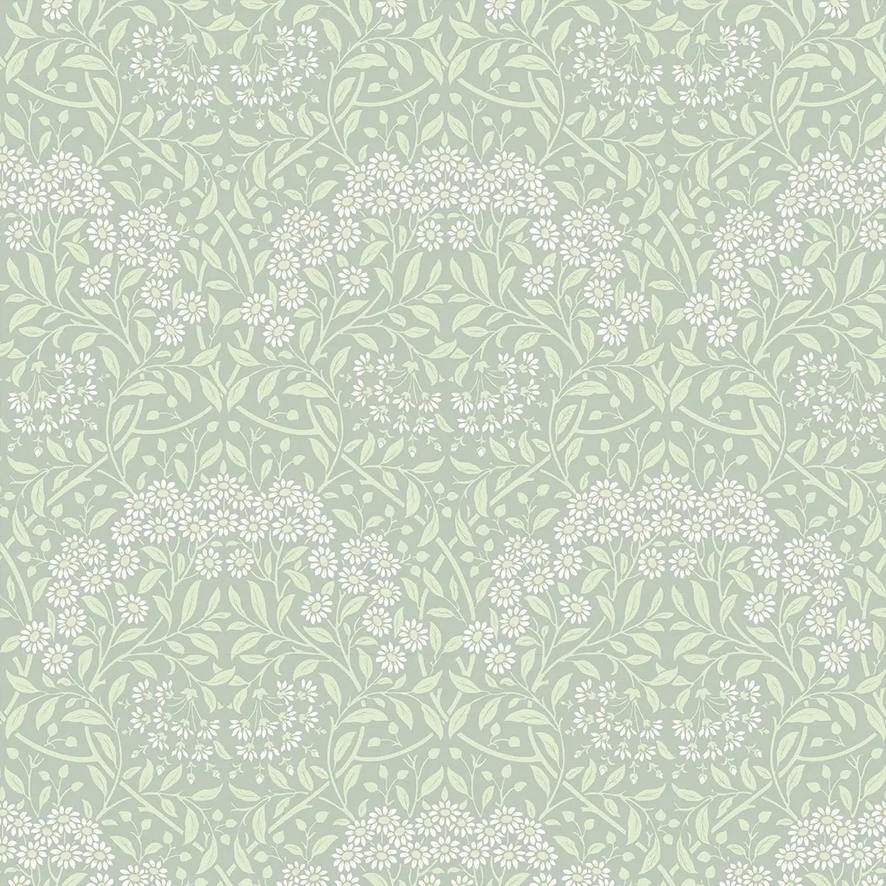 Vintage Daisy Wallpaper in Sage and White