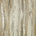 Zeus Metallic Wallpaper in Warm Grey and Sand and Metallic Gold