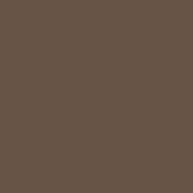 Mocha Matt Emulsion Paint - 2.5L