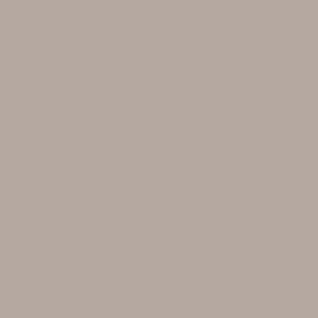Toasted Beige Matt Emulsion Paint - 2.5L