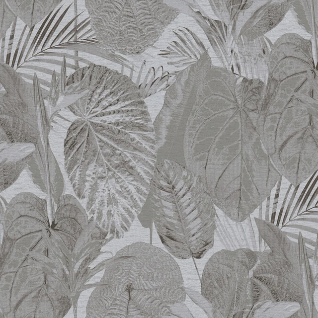 Exotic Oasis Wallpaper in Grey