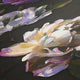 Painted Peonies Wallpaper in Multicolour