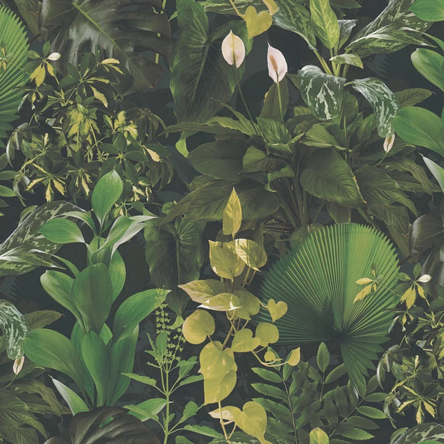 Indoor Oasis Wallpaper in Green