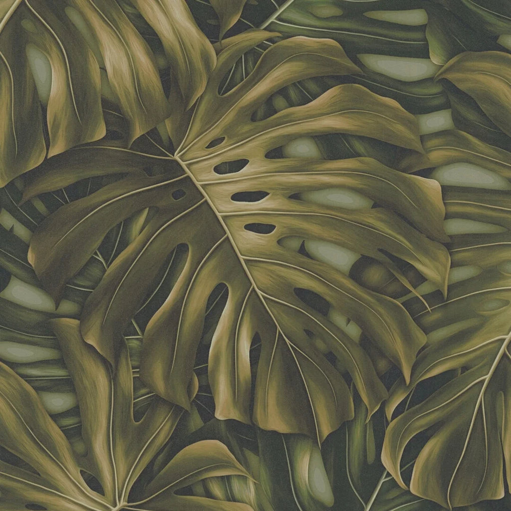 Majestic Monstera Wallpaper in Green  I Love Wallpaper