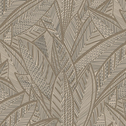 Sketched Feathers Wallpaper in Taupe