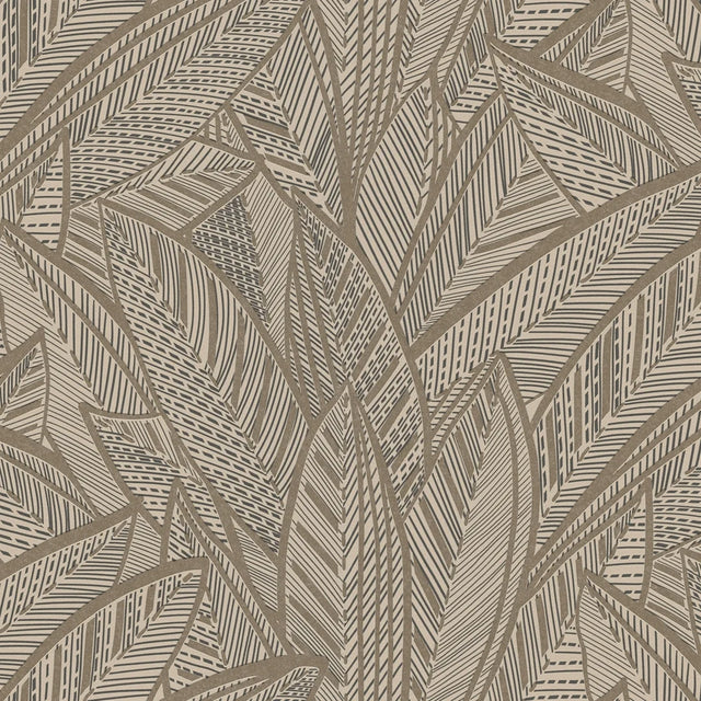 Sketched Feathers Wallpaper in Beige
