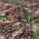 Jungle Fever Wallpaper in Pink and Green