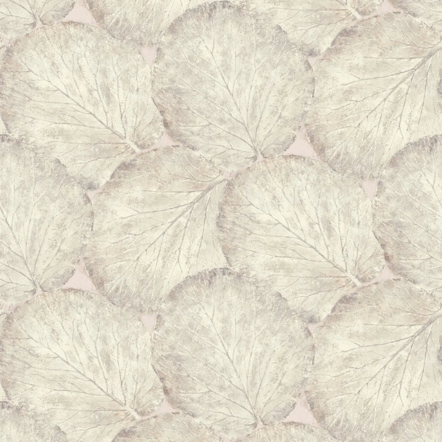 Beech Leaf Wallpaper in Blush