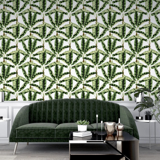 Musa Wallpaper in Green