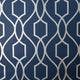Sinuous Trellis Wallpaper in Navy with Silver Metallic