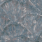 Curated Shell Wallpaper in Blue Tones