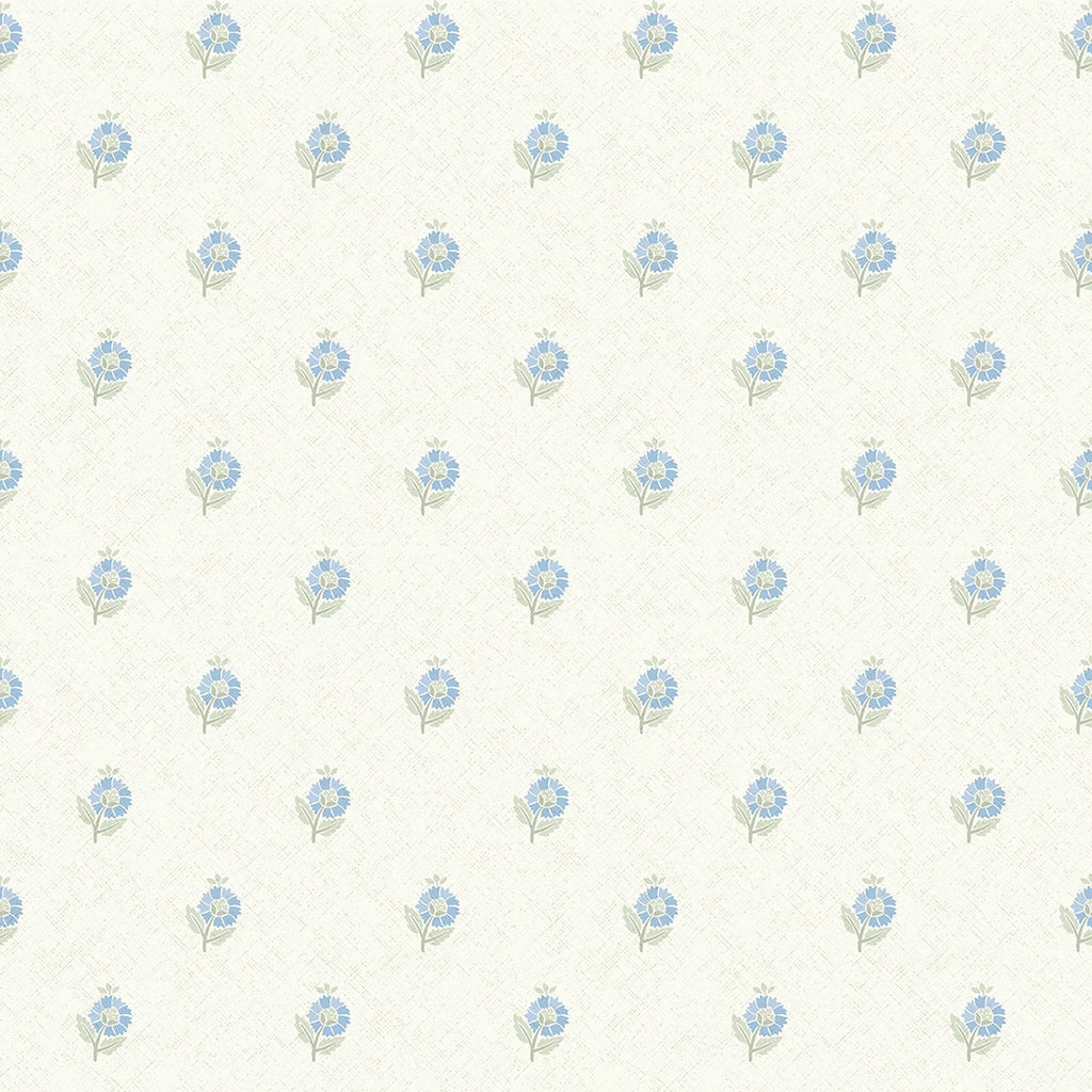 Ditsy Posy Wallpaper in Blue and Sage on Cream