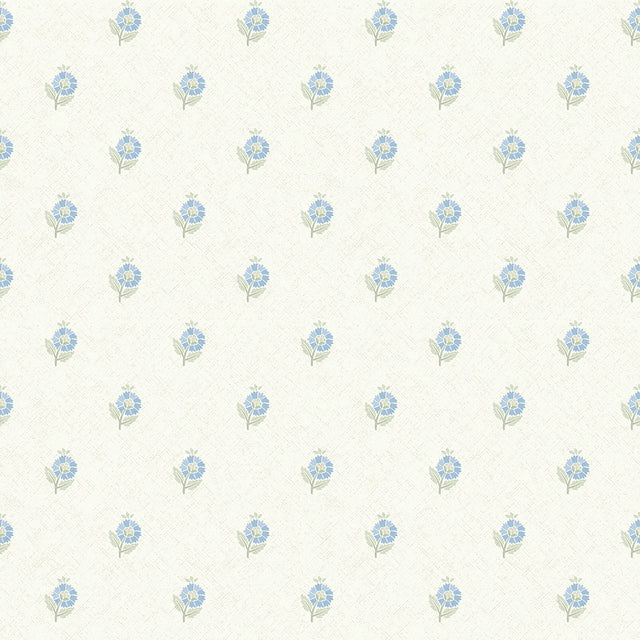 Ditsy Posy Wallpaper in Blue and Sage on Cream