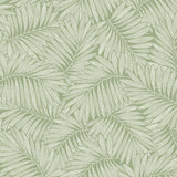 Fern Leaf Wallpaper in Cream on Pistachio