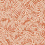 Fern Leaf Wallpaper in Cream on Terracotta