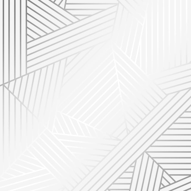Wingate Geometric Wallpaper in Grey and Silver