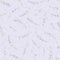 Lavender Cascade Wallpaper in Lilac