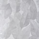 Lavinia Wallpaper in Silver and Cream