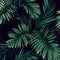 Midnight Tropics Wallpaper in Navy and Green