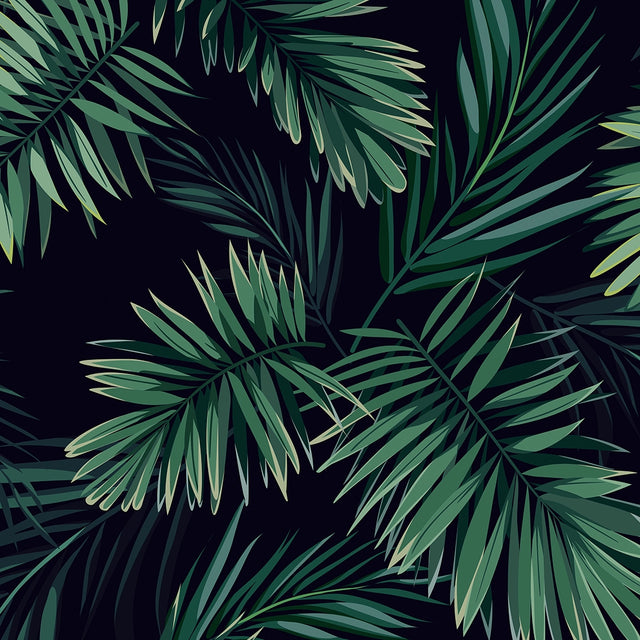 Midnight Tropics Wallpaper in Navy and Green