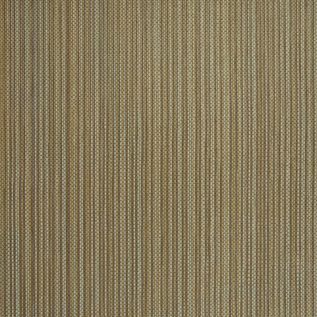 Pazin Wallpaper in Brown