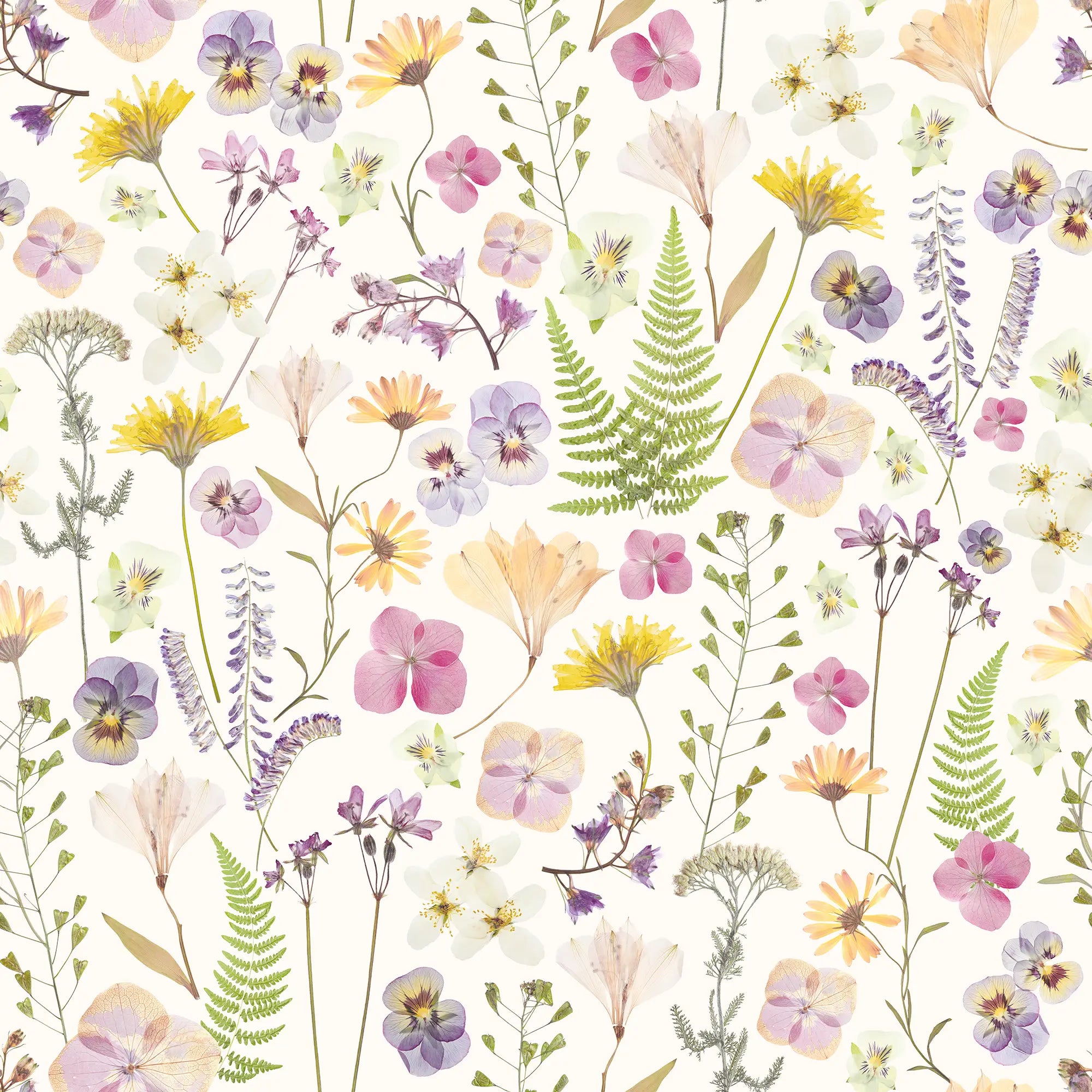 Pressed Petals Wallpaper in Pastels on Cream