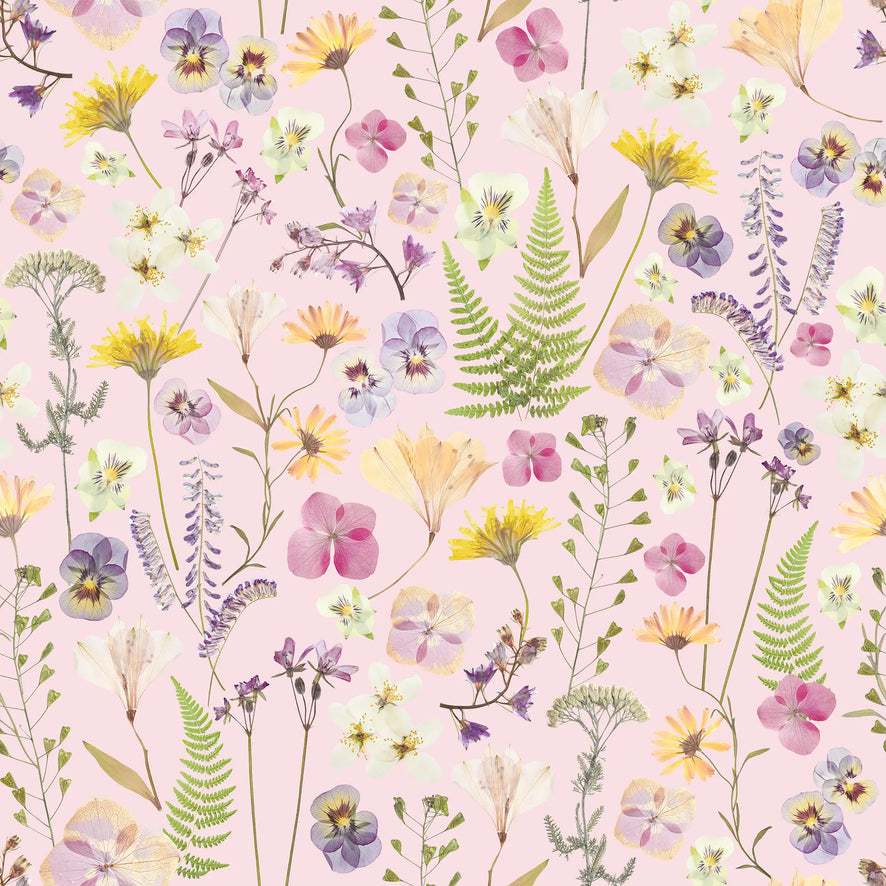 Pressed Petals Wallpaper in Pastels on Pink