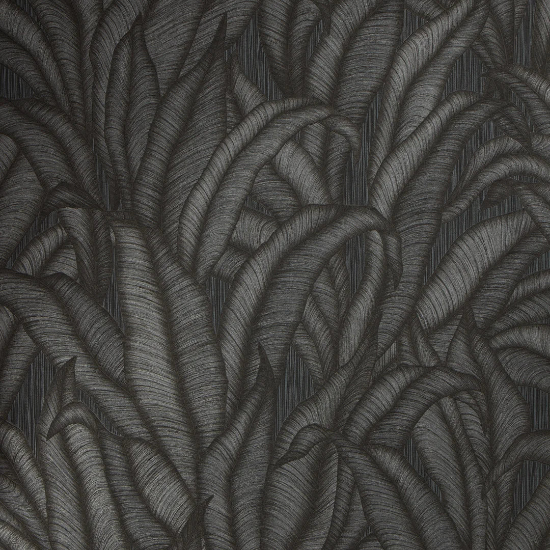 Riviera Tropical Wallpaper in Charcoal