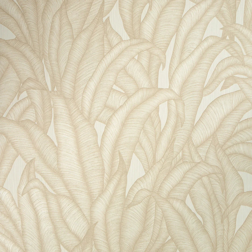 Sample of Riviera Tropical Wallpaper in Cream
