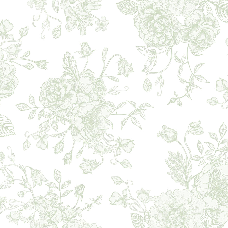 Romantic Roses Wallpaper in Soft Sage on White