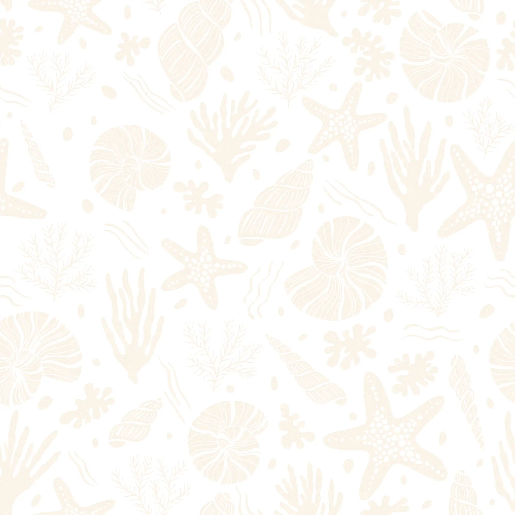 Seastars and Seashells Wallpaper in Ivory