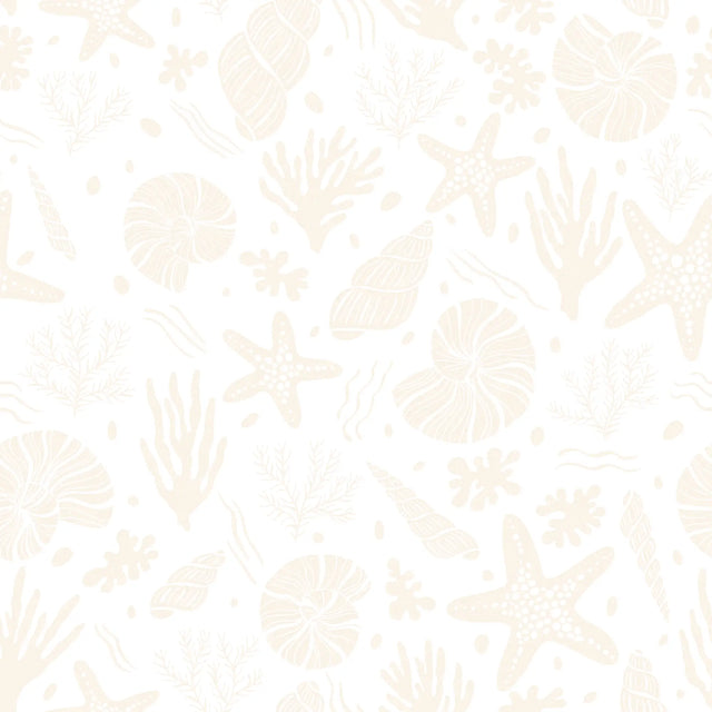 Seastars and Seashells Wallpaper in Ivory