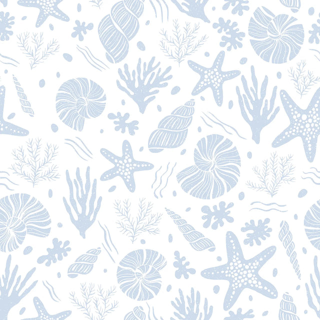 Seastars and Seashells Wallpaper in Blue