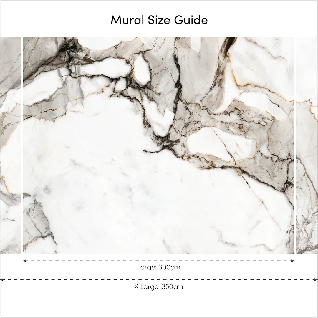 Statuario Marble Mural in Grey Tones