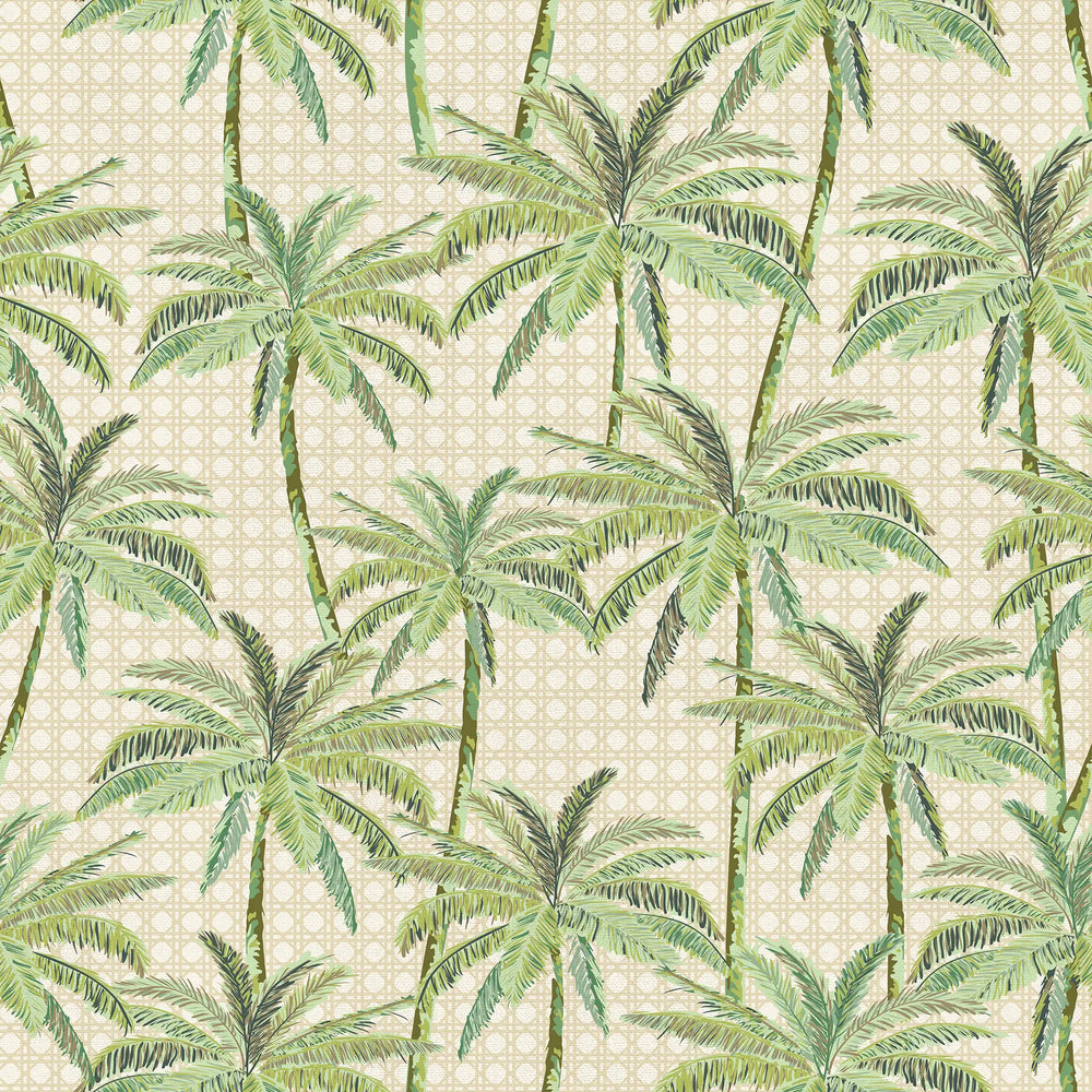 Tropical Rattan Wallpaper in Green on Cream