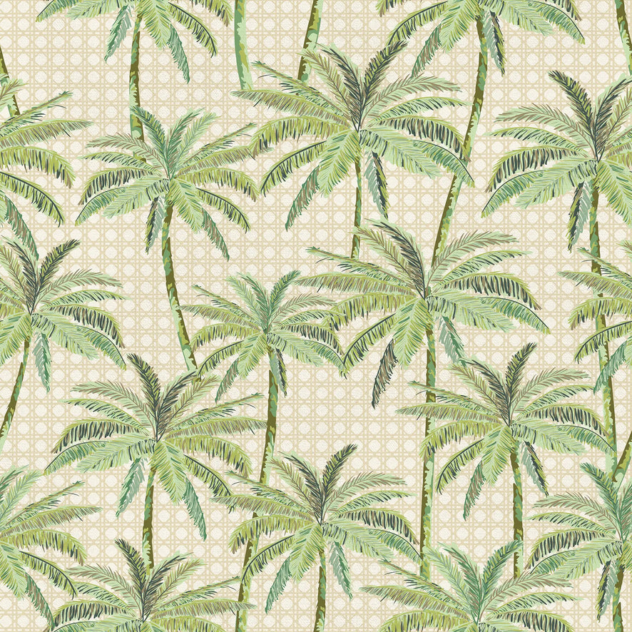 Tropical Rattan Wallpaper in Green on Cream