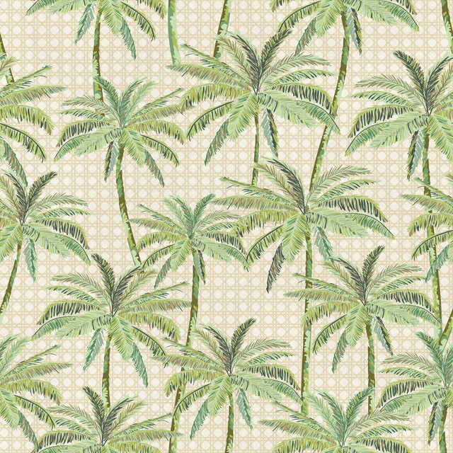 Tropical Rattan Wallpaper in Green on Cream