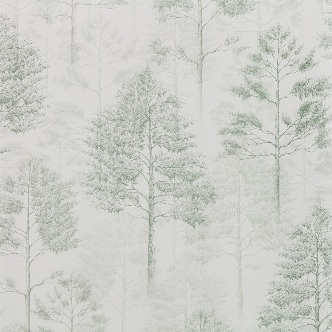 Sample of Woodland Whisper Wallpaper in Sage Green