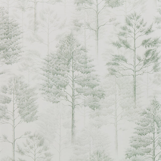 Woodland Whisper Wallpaper in Sage Green